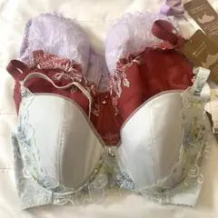 ウイングレシアージュ　Wing ブラジャー F75 ラベンダー 赤　水色