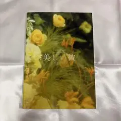 2026年最新】美しい彼 フライヤーの人気アイテム - メルカリ