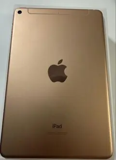 ジャンク】iPad mini CellularモデルApple Pencil付 - メルカリ