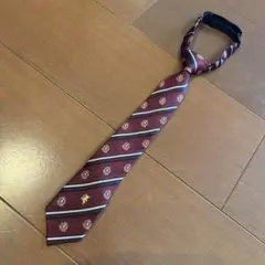 Item thumbnail for item 5e86d296-ebcc-4150-94b5-4de8232c8282