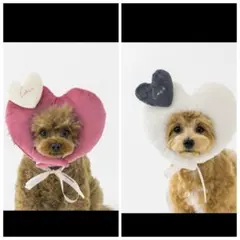 3COINSハート顔ハメ2点セットスリコバレンタイン