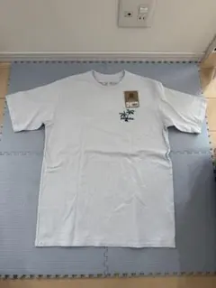 パタゴニア パタロハ Patagonia Pataloha Tシャツ ハワイ