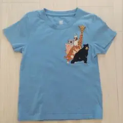 グラニフ　チューチューアニマルズ