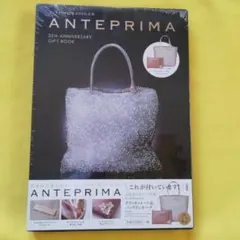 宝島社　トートバッグ・バッグインポーチ