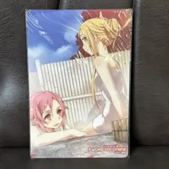★非売品 ソードアートオンライン ストーリー B5 下敷き アスナ リズベット