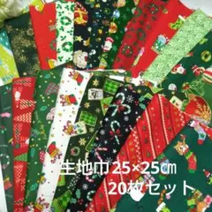 S9-30まとめ売り クリスマス柄生地 巾25×25cm 20枚セット