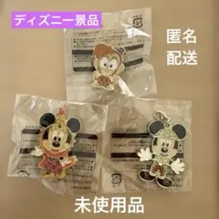 東京ディズニーリゾート　バッジ・チャーム アブーズバザール・ジャングルカーニバル