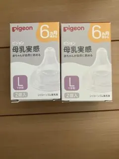 Pigeon 母乳実感 Lサイズ 2個入　2セット