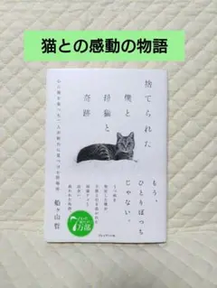 捨てられた僕と母猫と奇跡 : 心に傷を負った二人が新たに見つけた居場所