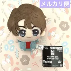 BTS・TinyTAN・ちびぐるみ・DNA・ジョングク