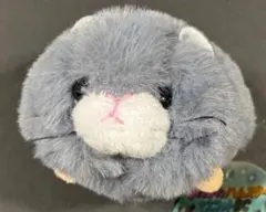 グレー猫のぬいぐるみ