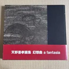 天野喜孝 画集 幻想曲 a fantasia - メルカリ
