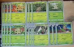 ks369 キノココ キノガッサ 進化ライン ポケモンカード ポケカ