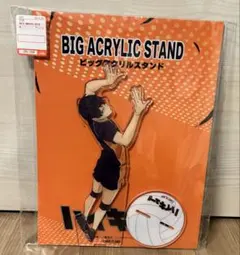 しまむら×ハイキュー　ハッピーバッグ　ビッグアクリルスタンド　影山飛雄