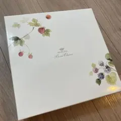 新品未使用　NARUMI ボーンチャイナ 皿セット