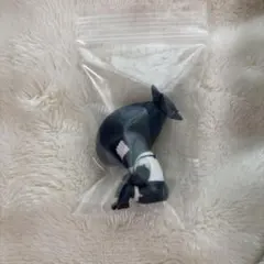 チェンソーマンおすわり隊　ボム（レゼ）
