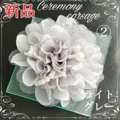 Item thumbnail for item ae1202a6-f740-4f98-9ea6-08f69706a71f