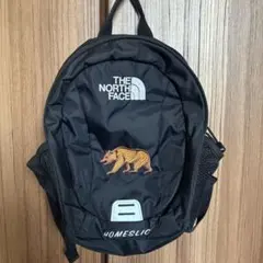THE NORTH FACE HOMESLICE 黒リュック