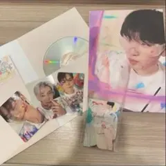 SEVENTEEN face the sun caratver.