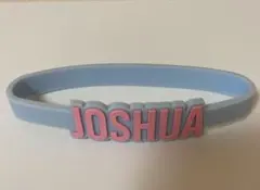 SEVENTEEN ジョシュア　ペンライトアクセサリー