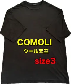 2026年最新】comoli ウール天竺 チャコールの人気アイテム - メルカリ