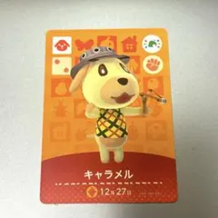どうぶつの森 amiiboカード キャラメル PSA10 フェスティバル プロモ どうぶつの森 amiiboカード キャラメル PSA10 フェスティバル プロモ