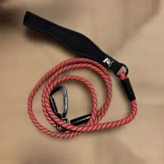 Item thumbnail for item bc8868aa-42cc-4e68-98d5-6880d1a03fb5