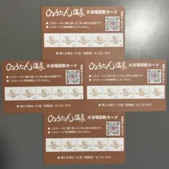 豊田挙母温泉 おいでんの湯 回数券10回分 - メルカリ