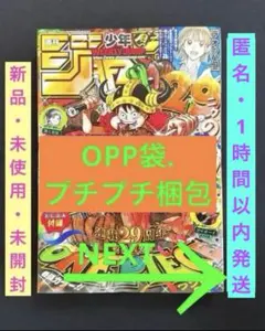 レア ワンピース フランキー初登場 週刊少年ジャンプ 2004年34号