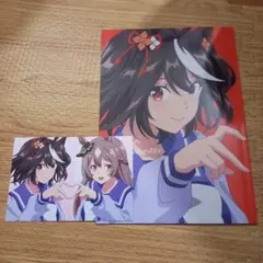 新品】わたたべ 近江汐莉 イラストカード 2枚セット 複製サイン 苗川采
