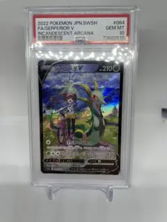 PSA10 ジャローダv csr Zeraora V CSR PSA 10 s8b 224/184 JAPANESE Japan VMAX CLIMAX