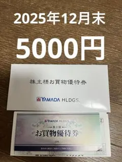 ヤマダ電機　株主優待　5000円