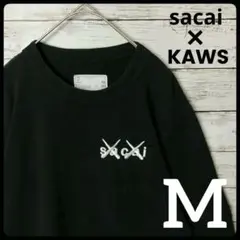 2025年最新】sacai kaws ロンtの人気アイテム - メルカリ