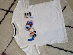 LACOSTE ラコステ 半袖Tシャツ ホワイト 36のサムネイル