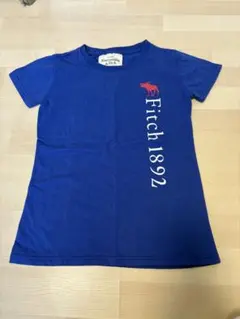 Abercrombie & Fitch Tシャツ ブルー Mのサムネイル