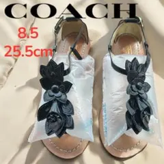 コーチ　COACH ブラック　サンダル 8.5 (25.5cm)