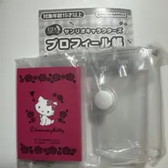 サンリオキャラクターズ　プロフィール帳　チャーミーキティ