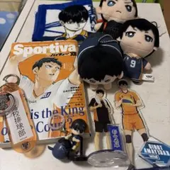 ハイキュー　影山飛雄【セット売り】