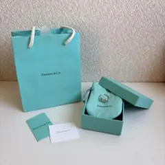 値段交渉受付中！Tiffany & Co. ティファニーブルー ショルダーバッグ 
