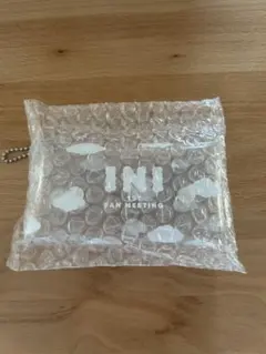 INI ファンミクリアケース