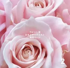 りにゃん様 リクエスト 2点 まとめ商品