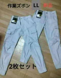 Item thumbnail for item 995ba5e1-f9ca-4652-a371-13d23324ca58