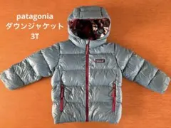 パタゴニア　patagonia フード付きダウンジャケット3T