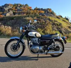 カワサキ W800 2014年式走行距離：54,785km 車検 令和9年4月 - メルカリ
