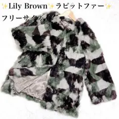 Lily Brown ✨ ラビットファージャケット コート 毛皮 ポケット Fのサムネイル