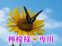 檸檬様❤️おまとめ専用ページです。12/22まで♡