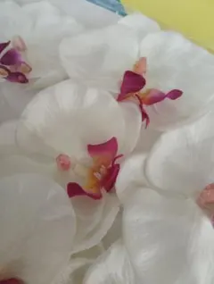 製作応援 　胡蝶蘭 ペタル（花びら）アートフラワー 造花 パーツ 10個セット