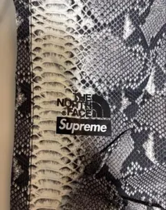 Supreme THE NORTH FACE ヘビ柄　S