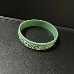 SaucyDog サウシードッグ　サウシー　ラバーバンド　ラババン　緑