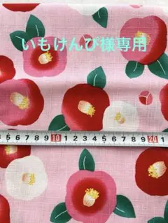 いもけんぴ様専用